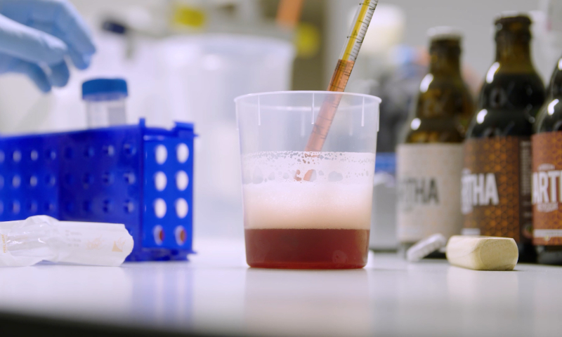 Pipet in het bier kwaliteitslab van bioMerieux